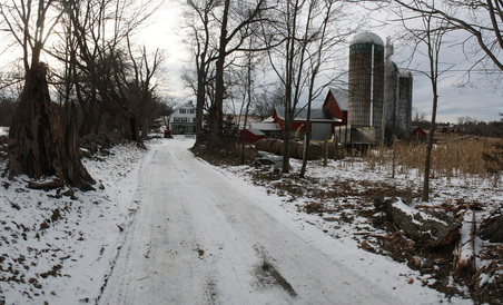Enlarge photo 7