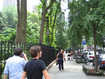 Enlarge photo 17