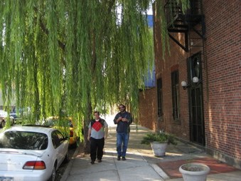 Enlarge photo 20