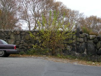 Enlarge photo 5