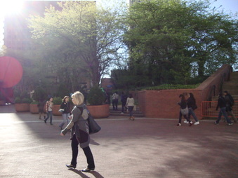 Enlarge photo 17