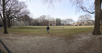 Enlarge photo 73