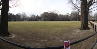 Enlarge photo 77