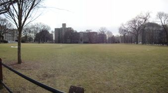 Enlarge photo 79