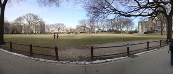 Enlarge photo 81