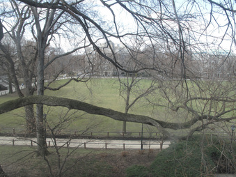 Enlarge photo 26