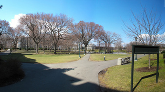 Enlarge photo 49