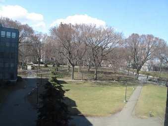 Enlarge photo 57