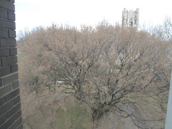 Enlarge photo 71