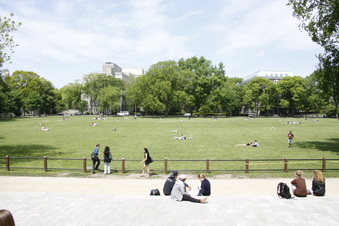 Enlarge photo 5