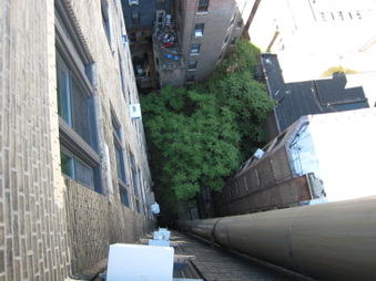 Enlarge photo 28