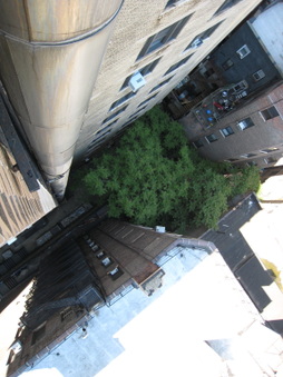 Enlarge photo 31