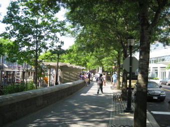 Enlarge photo 17
