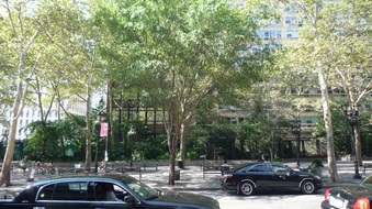 Enlarge photo 8