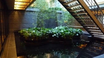 Enlarge photo 10