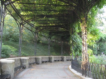 Enlarge photo 10