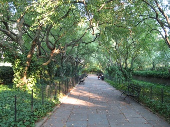 Enlarge photo 11