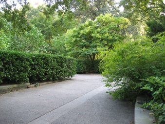 Enlarge photo 13