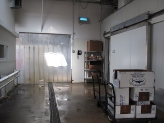 Enlarge photo 62