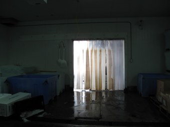 Enlarge photo 73