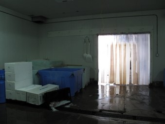 Enlarge photo 74