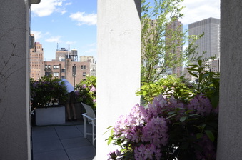 Enlarge photo 42