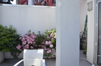 Enlarge photo 43