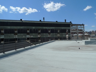 EXT. ROOFTOP (PIGEONS)