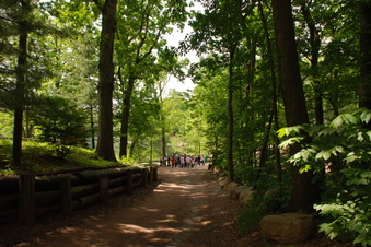 Enlarge photo 7