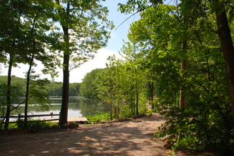 Enlarge photo 8