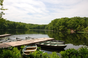 Enlarge photo 12