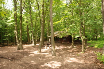 Enlarge photo 13