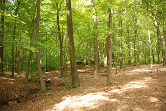 Enlarge photo 19
