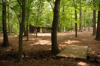 Enlarge photo 21