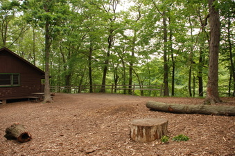 Enlarge photo 30