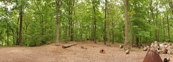 Enlarge photo 31
