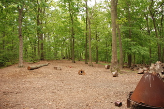 Enlarge photo 32
