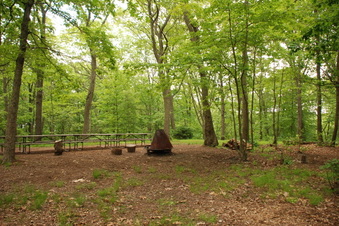 Enlarge photo 33