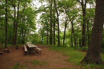 Enlarge photo 34