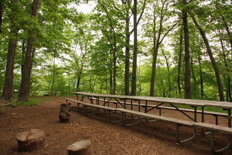 Enlarge photo 36