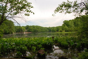 Enlarge photo 37