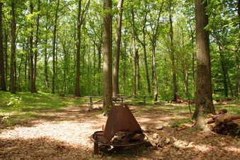 Enlarge photo 42
