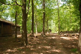 Enlarge photo 45