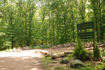 Enlarge photo 46