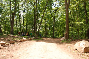 Enlarge photo 48