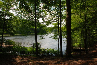Enlarge photo 50