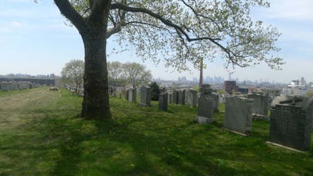 Enlarge photo 7