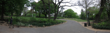 Enlarge photo 10