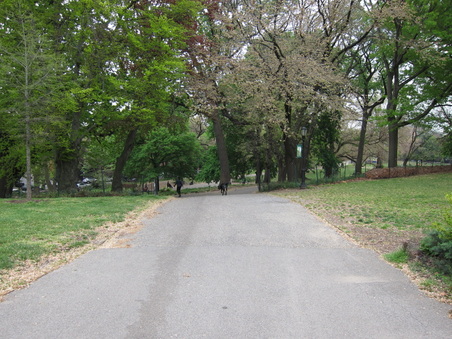 Enlarge photo 13