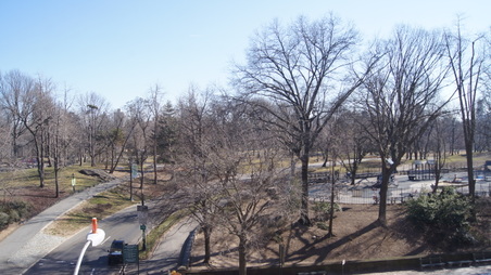 Enlarge photo 30